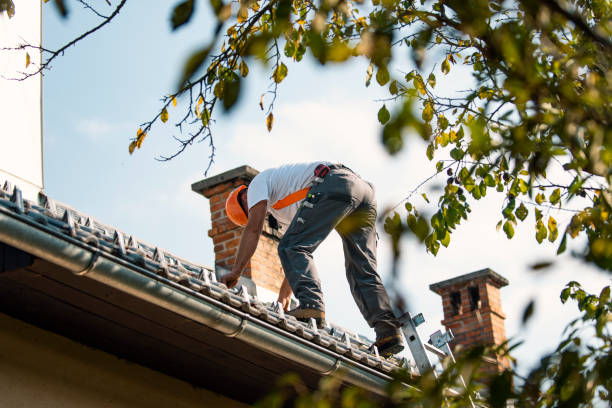 Best Roof Repair Services  in White Pigeon, MI