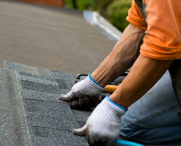 Best Roof Gutter Cleaning  in White Pigeon, MI