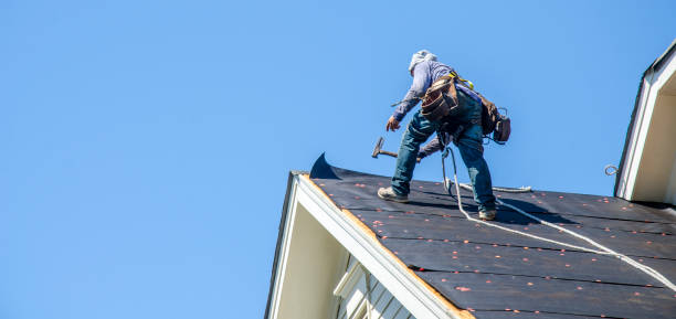 Best Local Roofing Companies  in White Pigeon, MI